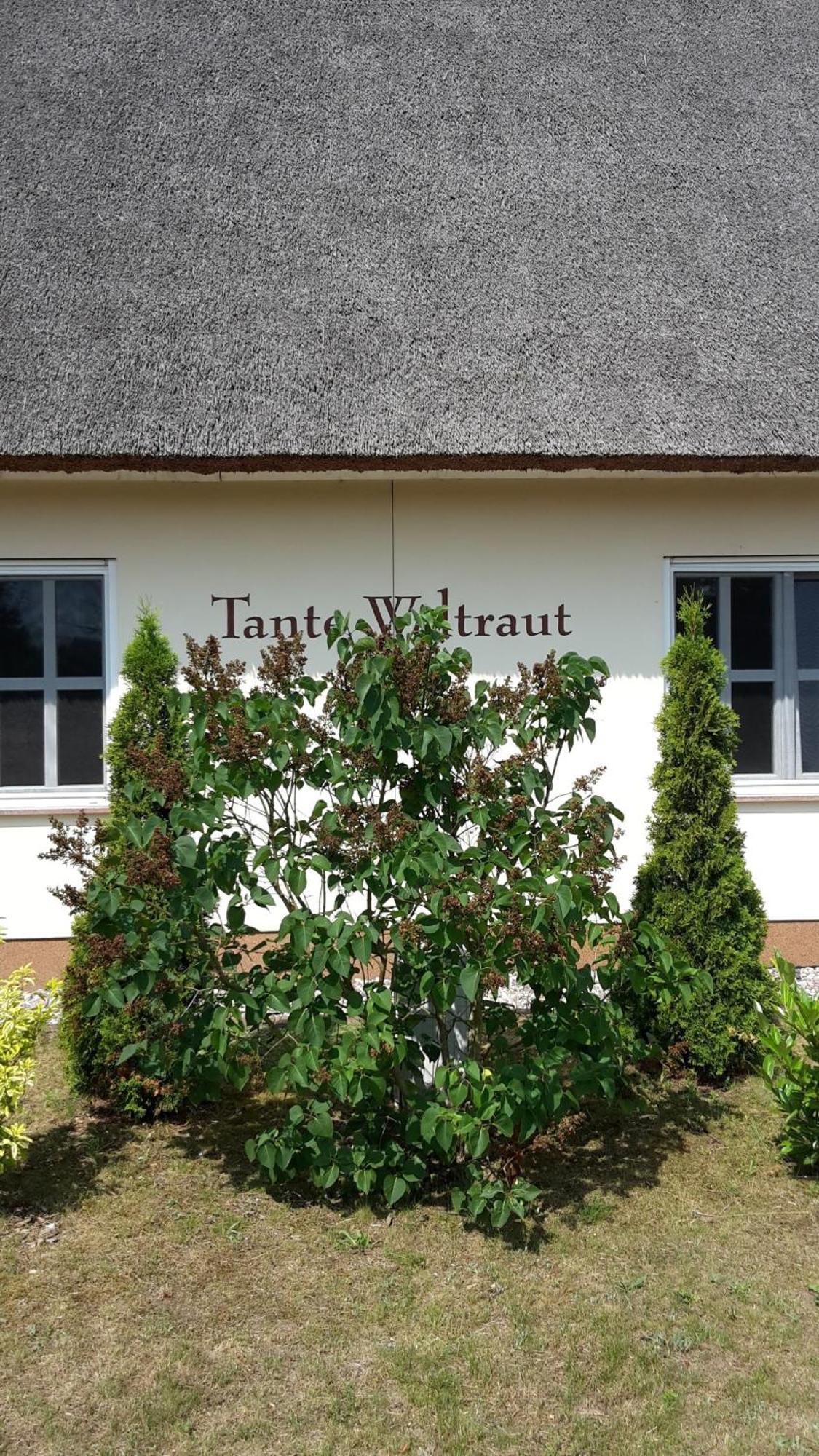 Haeuschen "Tante Waltraut" Villa Garz  Exteriör bild